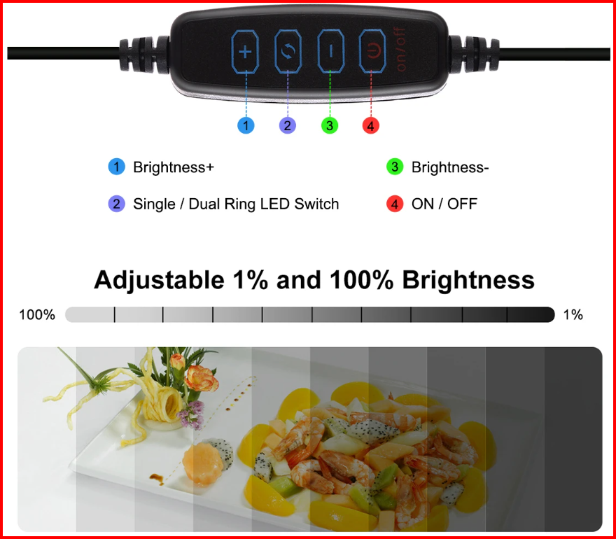 The Creator's Pop-Up Light Box