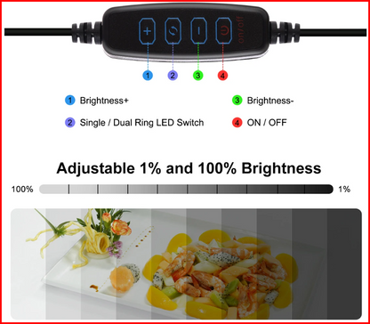 The Creator's Pop-Up Light Box